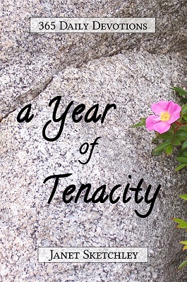 A Year of Tenacity: 365 Daily Devotions